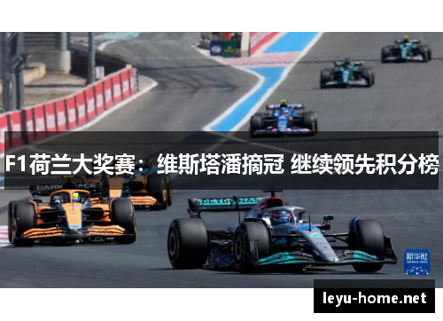 F1荷兰大奖赛：维斯塔潘摘冠 继续领先积分榜